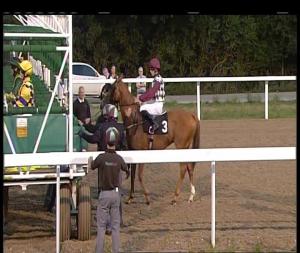 Video preview image for Chelmsford City 19:50 - Book Tickets On chelmsfordcityracecourse.com Hands N Heels Apprentice Handicap (5)