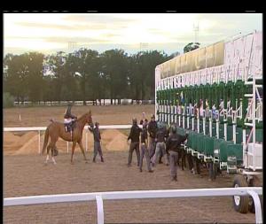 Video preview image for Chelmsford City 19:55 - Bet Toteswinger At totesport.com Handicap (3)