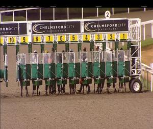 Video preview image for Chelmsford City 20:45 - Gentlemen's Day 22nd September Handicap (6)