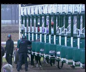 Video preview image for Chelmsford City 13:50 - Bet Toteexacta At betfred.com Handicap (6)