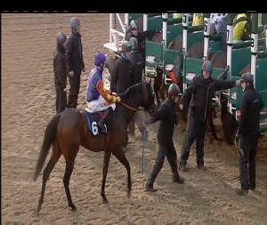 Video preview image for Chelmsford City 14:55 - Bet Totetrifecta At betfred.com Handicap (5)