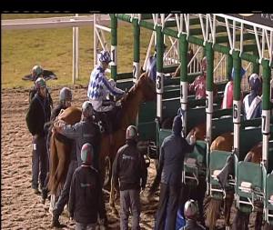 Video preview image for Chelmsford City 17:55 - Bet Totejackpot At betfred.com EBF Novice Stakes (4)