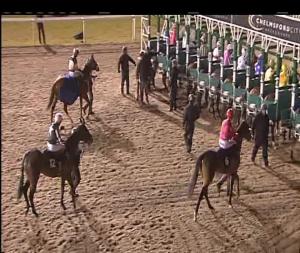 Video preview image for Chelmsford City 18:30 - Bet Totequadpot At betfred.com Handicap (4)