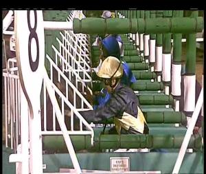 Video preview image for Chelmsford City 18:45 - Weatherbys General Stud Book Online British EBF Maiden Stakes (Sire/Dam-restricted) (3)