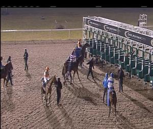 Video preview image for Chelmsford City 19:15 - Bet Totequadpot At betfred.com Fillies' Novice Stakes (5) (Div 2)