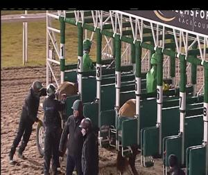 Video preview image for Chelmsford City 19:15 - Bet Toteexacta At betfred.com Maiden Stakes (5)