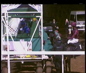 Video preview image for Chelmsford City 19:15 - Bet Toteexacta At betfred.com Novice Auction Stakes (5)