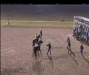 Video preview image for Chelmsford City 19:45 - Bet Toteexacta At betfred.com Nursery Handicap (6)