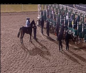 Video preview image for Chelmsford City 19:45 - Bet Totetrifecta At betfred.com Handicap (4)