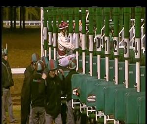 Video preview image for Chelmsford City 19:45 - Bet Toteexacta At betfred.com Handicap (5)