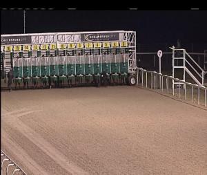 Video preview image for Chelmsford City 20:45 - Book Online At chelmsfordcityracecourse.com Handicap (6)