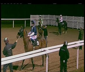 Video preview image for Chelmsford City 20:45 - Chelmsford City Supporting The Horse Comes First Handicap (6)
