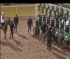 Video preview image for Chelmsford City 21:00 - Go Homes Land Handicap (7)