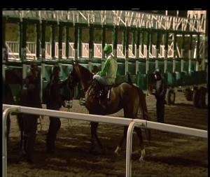 Video preview image for Chelmsford City 19:30 - Bet Totetrifecta At totesport.com Handicap (2)