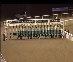 Video preview image for Chelmsford City 20:15 - Book Tickets At chelmsfordcityracecourse.com Handicap (6) (Div 1)