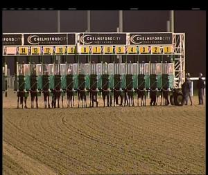 Video preview image for Chelmsford City 21:00 - Book Tickets At chelmsfordcityracecourse.com Handicap (7)