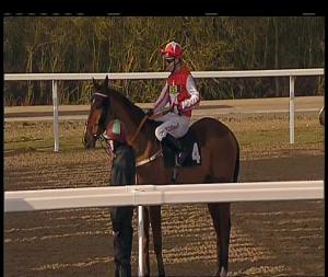 Video preview image for Chelmsford City 15:45 - Bet Trifecta At totesport.com Handicap (5)