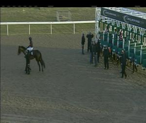 Video preview image for Chelmsford City 16:00 - Toteswinger Two In The First Three Handicap (4)