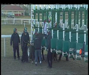 Video preview image for Chelmsford City 16:15 - Bet Scoop6 At totesport.com Handicap (4)