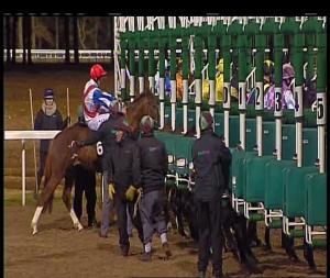 Video preview image for Chelmsford City 18:30 - Bet Exacta At totesport.com Handicap (6)