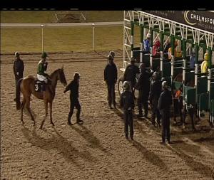 Video preview image for Chelmsford City 19:00 - Totequadpot Races 3 To 6 Fillies' Handicap (5)