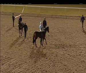 Video preview image for Chelmsford City 19:30 - Totetrifecta Pick The 1,2,3 Novice Stakes (4)