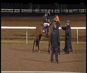 Video preview image for Chelmsford City 20:00 - Toteswinger Two In The First Three Handicap (4)