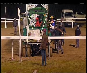 Video preview image for Chelmsford City 21:00 - Rotary On Track Handicap (6)