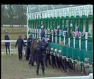 Video preview image for Chelmsford City 13:55 - Toteexacta Pick The 1st and 2nd Handicap (5)