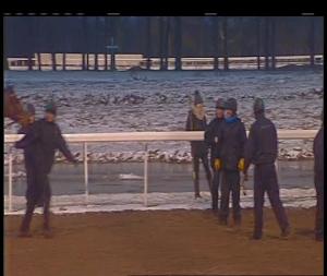 Video preview image for Chelmsford City 14:55 - Bet Toteexacta At betfred.com Handicap (6)