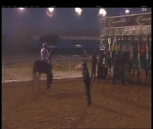 Video preview image for Chelmsford City 15:25 - Bet Totetrifecta At betfred.com Handicap (5)