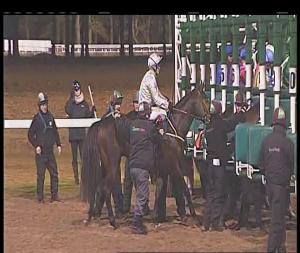 Video preview image for Chelmsford City 18:15 - Bet Toteplacepot At betfred.com Novice Stakes (5)