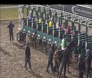 Video preview image for Chelmsford City 18:45 - Bet Totejackpot At betfred.com Fillies' Novice Stakes (5)