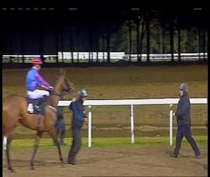 Video preview image for Chelmsford City 19:45 - Bet Toteexacta At betfred.com Fillies' Handicap (4)