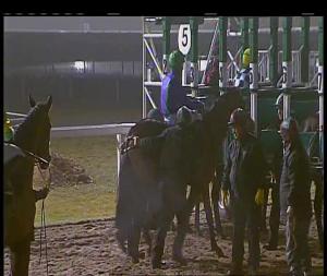 Video preview image for Chelmsford City 20:00 - Bet Totetrifecta At betfred.com Handicap (6)