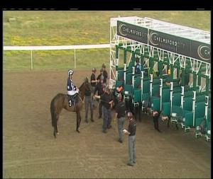 Video preview image for Chelmsford City 18:30 - Havana Club 3 Year Old Rum Novice Stakes (4)