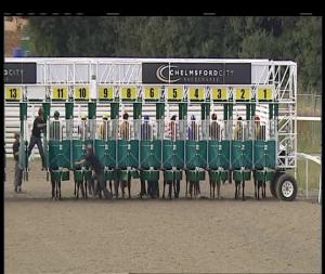 Video preview image for Chelmsford City 19:00 - Bet Totequadpot At betfred.com Maiden Stakes