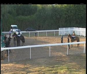 Video preview image for Chelmsford City 19:30 - Coca Cola Zero Sugar Challenge Handicap (4)