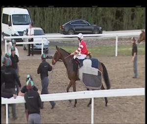 Video preview image for Chelmsford City 20:00 - Hills Prospect Simply The Best Maiden Stakes (4)