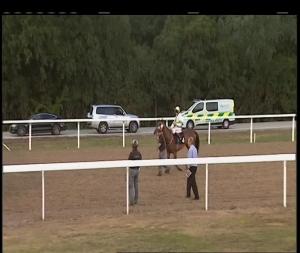 Video preview image for Chelmsford City 20:30 - Pommery Champagne Handicap (6)