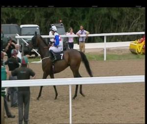 Video preview image for Chelmsford City 14:20 - Heart Essex Handicap