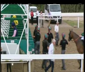 Video preview image for Chelmsford City 14:55 - Oliver's Plants Ltd Handicap