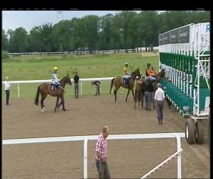 Video preview image for Chelmsford City 15:30 - Lexus Ipswich Handicap