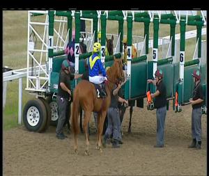 Video preview image for Chelmsford City 16:45 - Essex Life Handicap