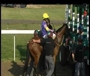 Video preview image for Chelmsford City 18:10 - Toteplacepot At totesport.com Novice Auction Stakes (Plus 10)