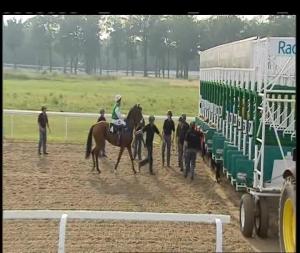 Video preview image for Chelmsford City 18:40 - Totepool Betting On All UK Racing Handicap