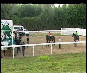 Video preview image for Chelmsford City 19:40 - Totetrifecta At totesport.com Fillies' Handicap