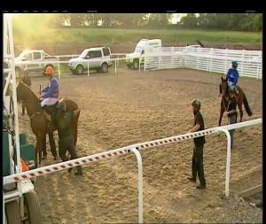 Video preview image for Chelmsford City 20:10 - Totewin At totesport.com Maiden Stakes (Plus 10)