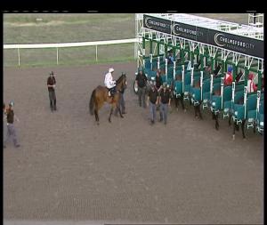 Video preview image for Chelmsford City 20:10 - Totepoolracing Win Racing Tickets On Twitter Handicap