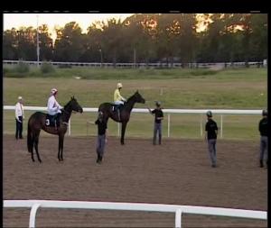 Video preview image for Chelmsford City 20:40 - Toteplace At totesport.com Handicap